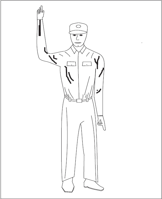 FIG ENR 1.1-13