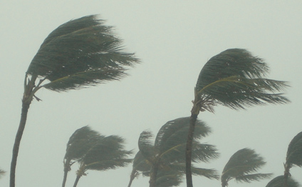 Akamai Netstorage: FAA's Hurricane Michael Update