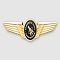 DOT to Award Astronaut Wings for Epic Flight