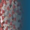 Novel Coronavirus (COVID-19) Update