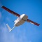 FAA Moving Forward to Enable Safe Integration of Drones