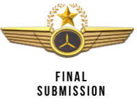 Final Submission Wings