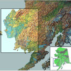 Phase I Map of Yukon Kuskokwim Delta of Alaska