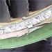 Damage to Delta MD 11 - Jan 21, 2001 Strike