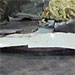 Damage to Delta MD 11 - Jan 21, 2001 Strike