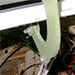Horizon DHC-8 (Medford, OR) January 8, 2003 Strike