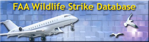 Report a Wildlife Strike
