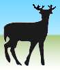 Silhouette of a deer.
