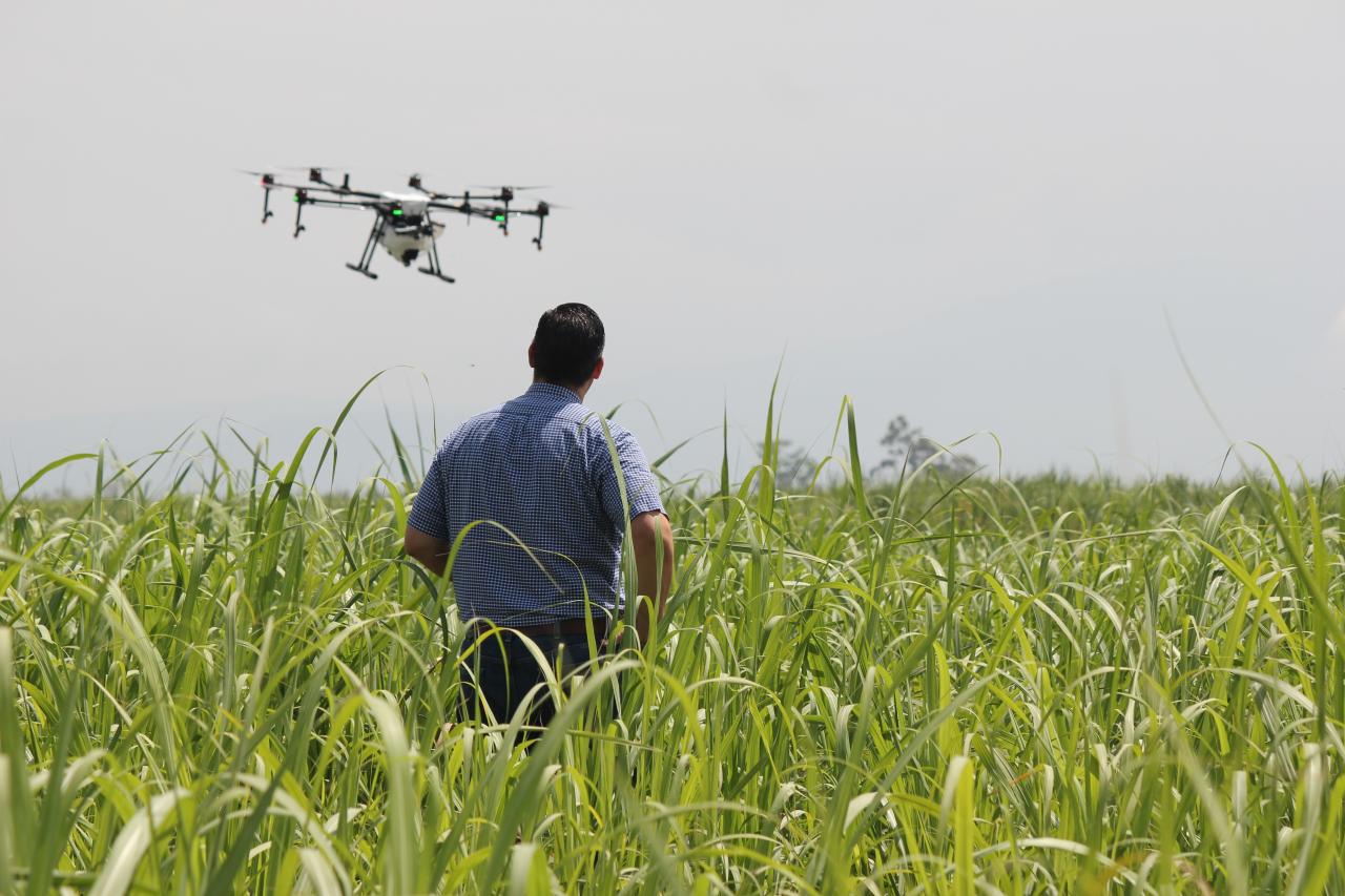 drone on farm