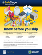 SafeCargo: Know Before You Ship poster
