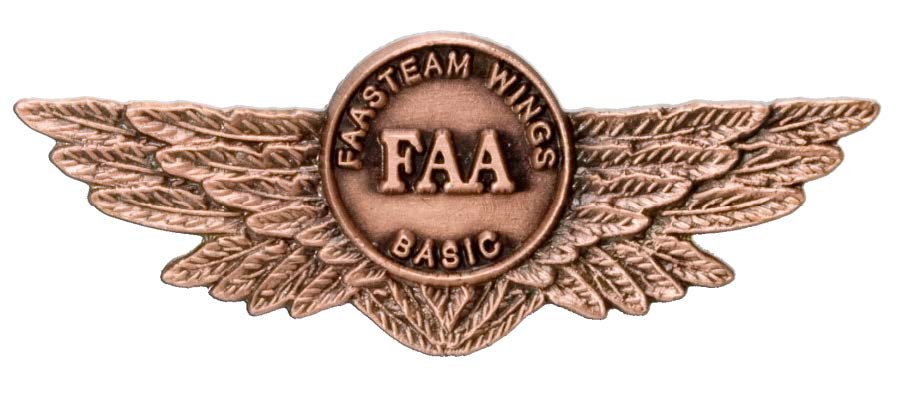 WINGS pilot proficiency program pin