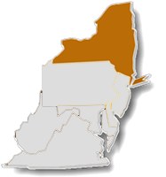Eastern region map highlighting the states of the New York ADO