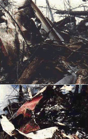 "Photos of flight 123 wreckage"