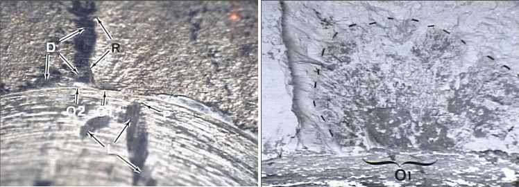 "Photo of inboard piece showing (left), heavy oxide deposits near fracture (right) - NTSB Docket Photos"