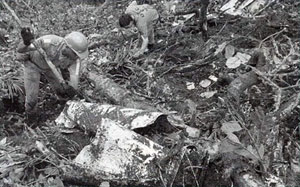 "Photo of crash site"