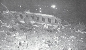 "Wreckage of N709PA"