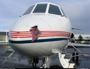 "Photo of lightning damage to an airplane Photo copyright Laurent Cluzel - used with permission"