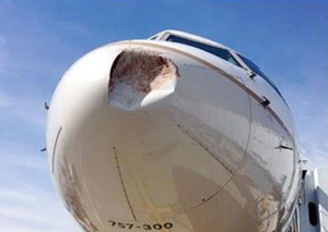 "Photo of a Boeing 757 struck by seagull"