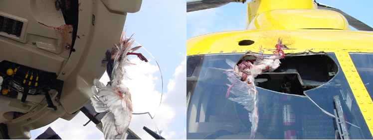 "Photos of a PHI S-76 helicopter with the cast acrylic windshields with a bird-strike incident"