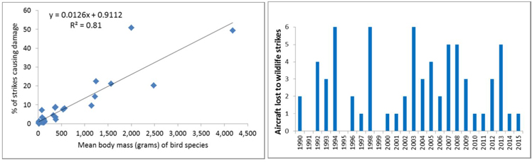 "Chart showing the effect of bird body mass (left) Chart of total number of aircraft destroyed by wildlife strikes – 68 Total 36 involving birds (right) National Wildlife Strike Database"
