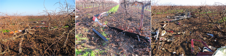 "Photos of Bell 206B-3, N828AC Wreckage Debris - NTSB Docket"