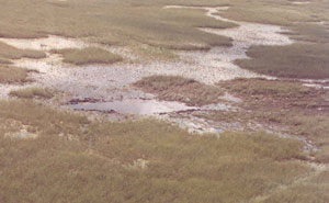 "NTSB photo of Flight 592 impact crater"