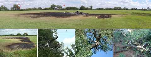 "Photos of wreckage and tree strike location"