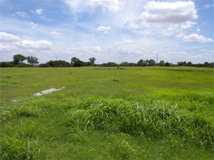 "Photo of accident debris field - Photo NTSB"