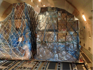 "Photo of an example netted standard cargo load on a ULD pallet secured by integral locks and guide restraints Photo copyright Steven Fox - used with permission"