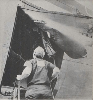"Photo of American Airlines DC-10 cargo door remains"