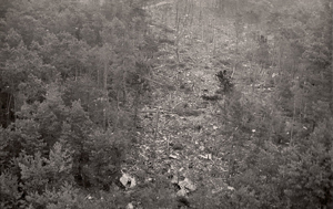 "Photo of the Turk Hava crash site Copyright BEA France - Used with permission"