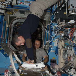 crew aboard a spacecraft