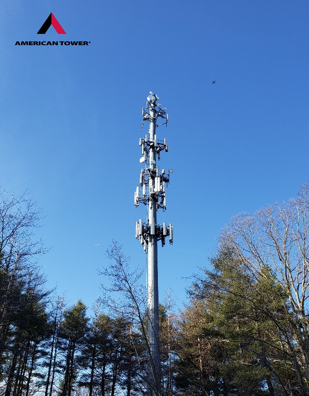 tower rising above trees