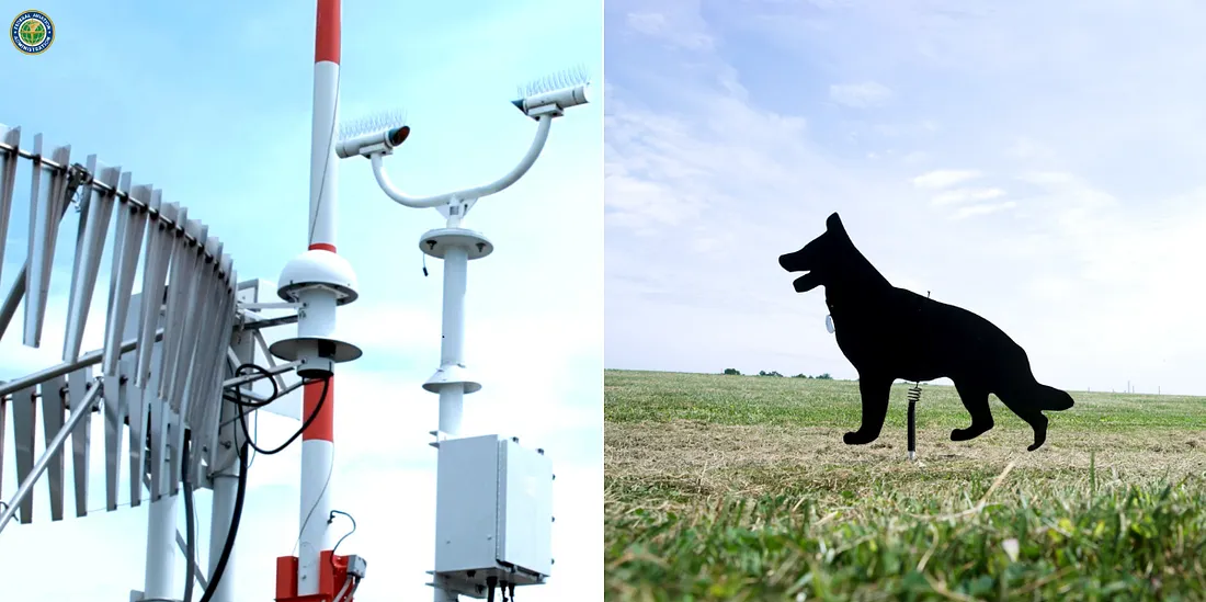 Some airports use bird spikes/perching excluders to deter birds from perching on aviation equipment on and near airfields. Canid (dog) predator effigies deter wildlife, similarly to a scarecrow.