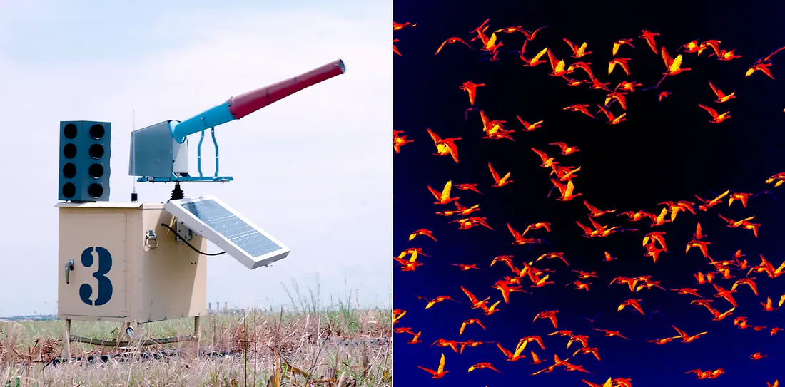 Some airports install propane cannons for auditory harassment of wildlife, deterring them from settling in the airfield and surrounding area. Infrared imaging helps airports identify wildlife, like the flock of geese pictured here.