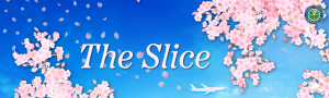 The Slice