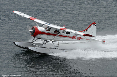 Beaver_overview
