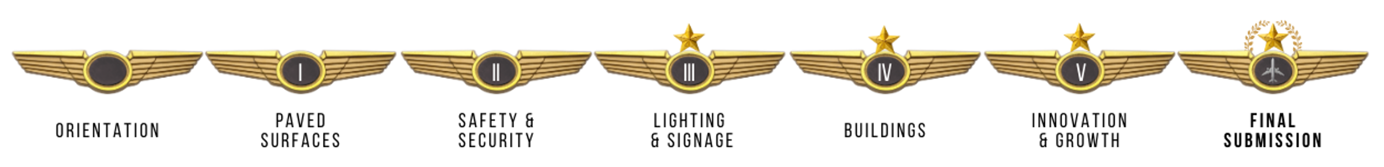 full wings graphic