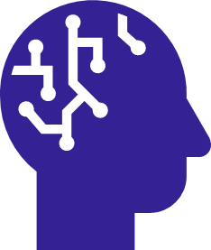 a picture of a human brain