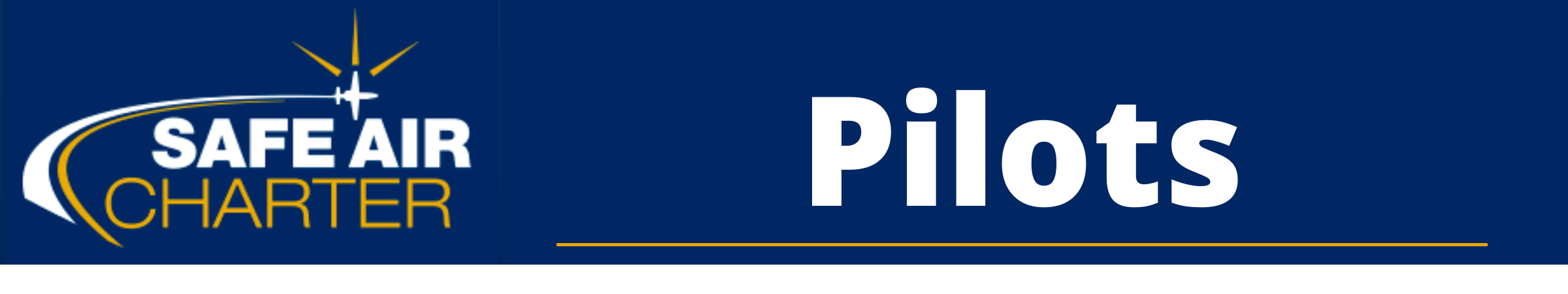 Safe air charter pilots banner