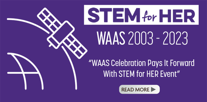 Stem Artcile
