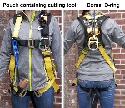 harness