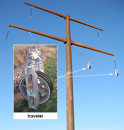 traveler