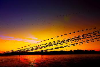 Time lapse of rush hour departures