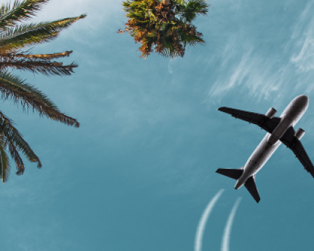 Airplane flying past palm trees