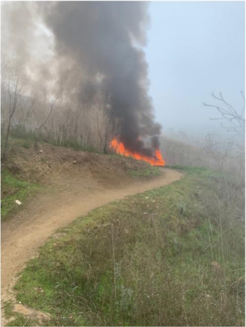 Photo of accident site taken by witness