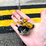 rocks found on a runway