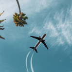 an airplane flying above palm trees