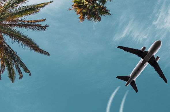 airplane flying over palm trees