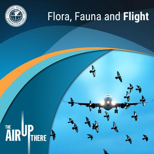 Flora, Fauna, and Flight